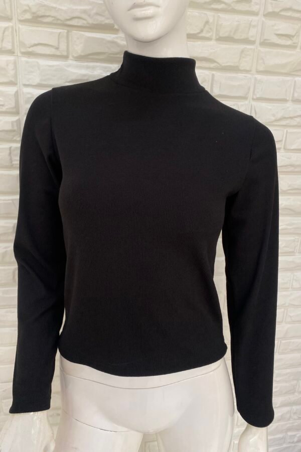 POLERA BASICA MORLEY FRISADO