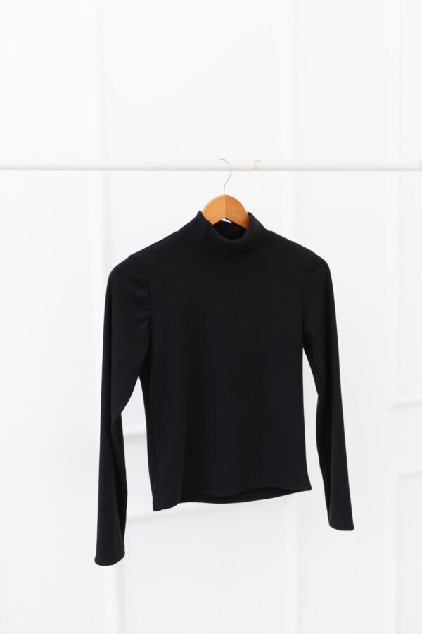 POLERA BASICA MORLEY FRISADO
