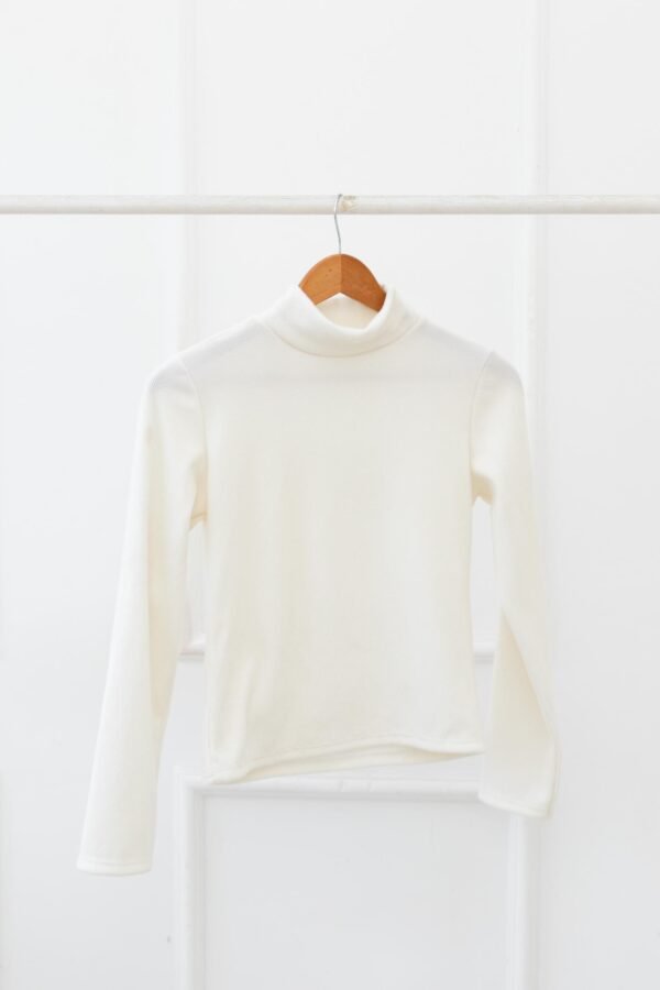 POLERA BASICA MORLEY FRISADO