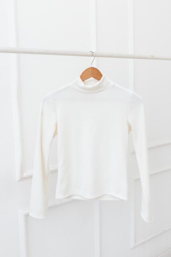 POLERA BASICA MORLEY FRISADO